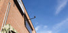 BLKWS - BLK WINDOW SCAN - Datum Tech Solutions